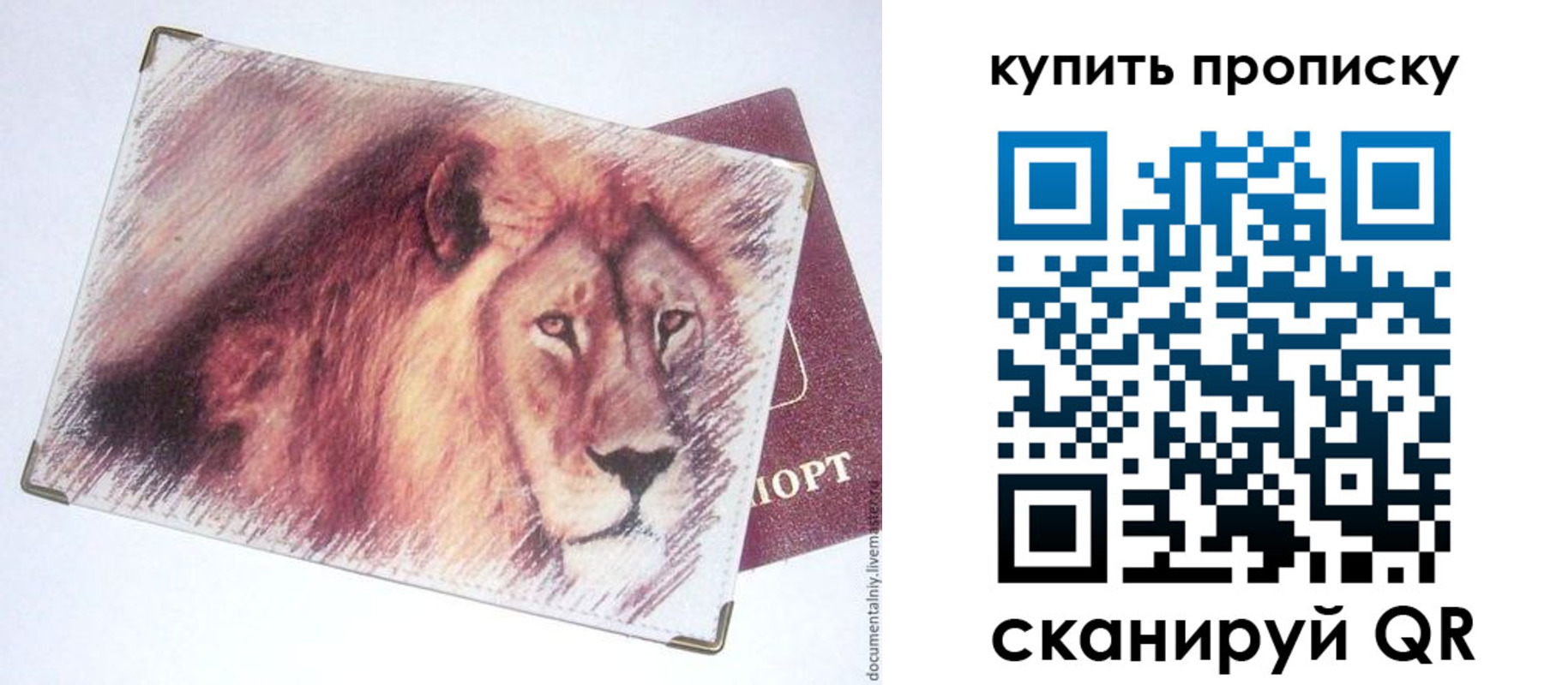 прописка паспорт в Химках